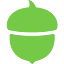 Acorns icon