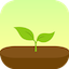 Forest App