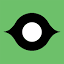 Laughing Squid