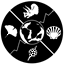 Paleobiology Database