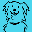 PetFlow icon