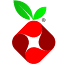 Pi-hole icon