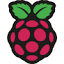 Raspberry Pi icon