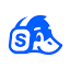 StreamYard icon