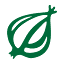 The Onion