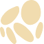 WaterBear Network