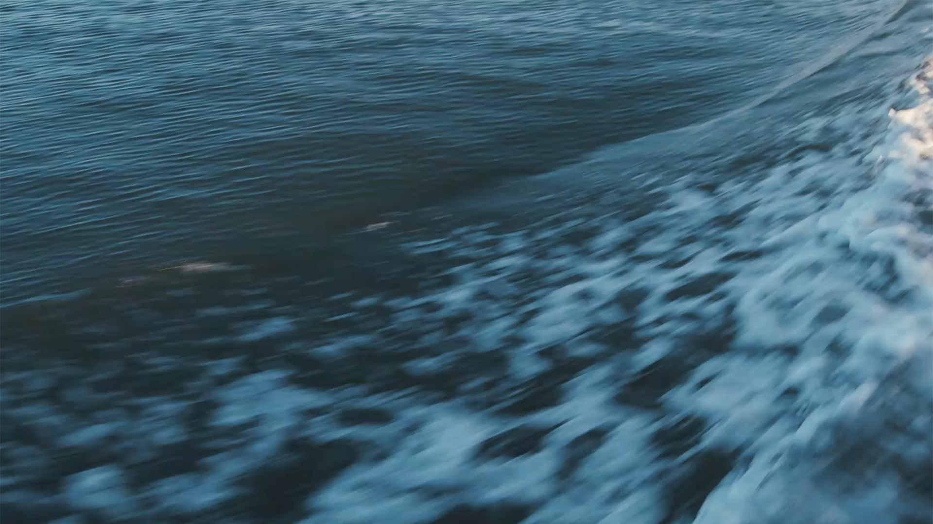 Marine Biological Laboratory (MBL) screenshot