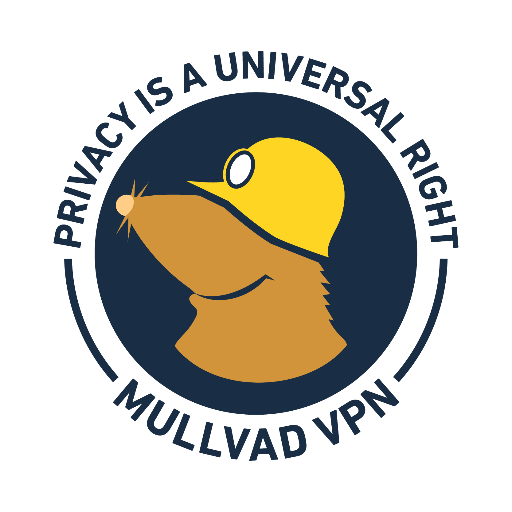 Mullvad VPN screenshot