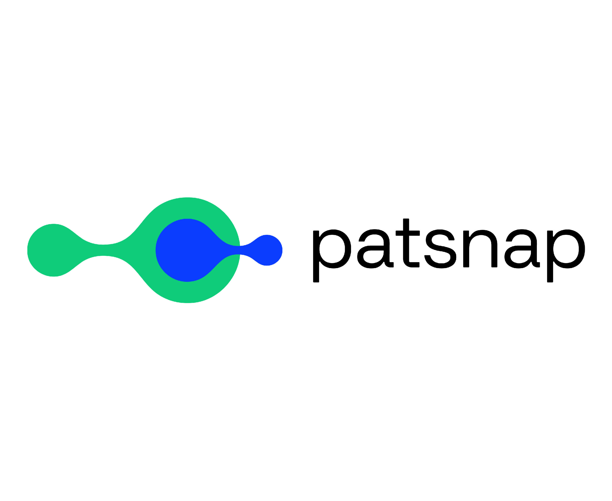 PatSnap screenshot